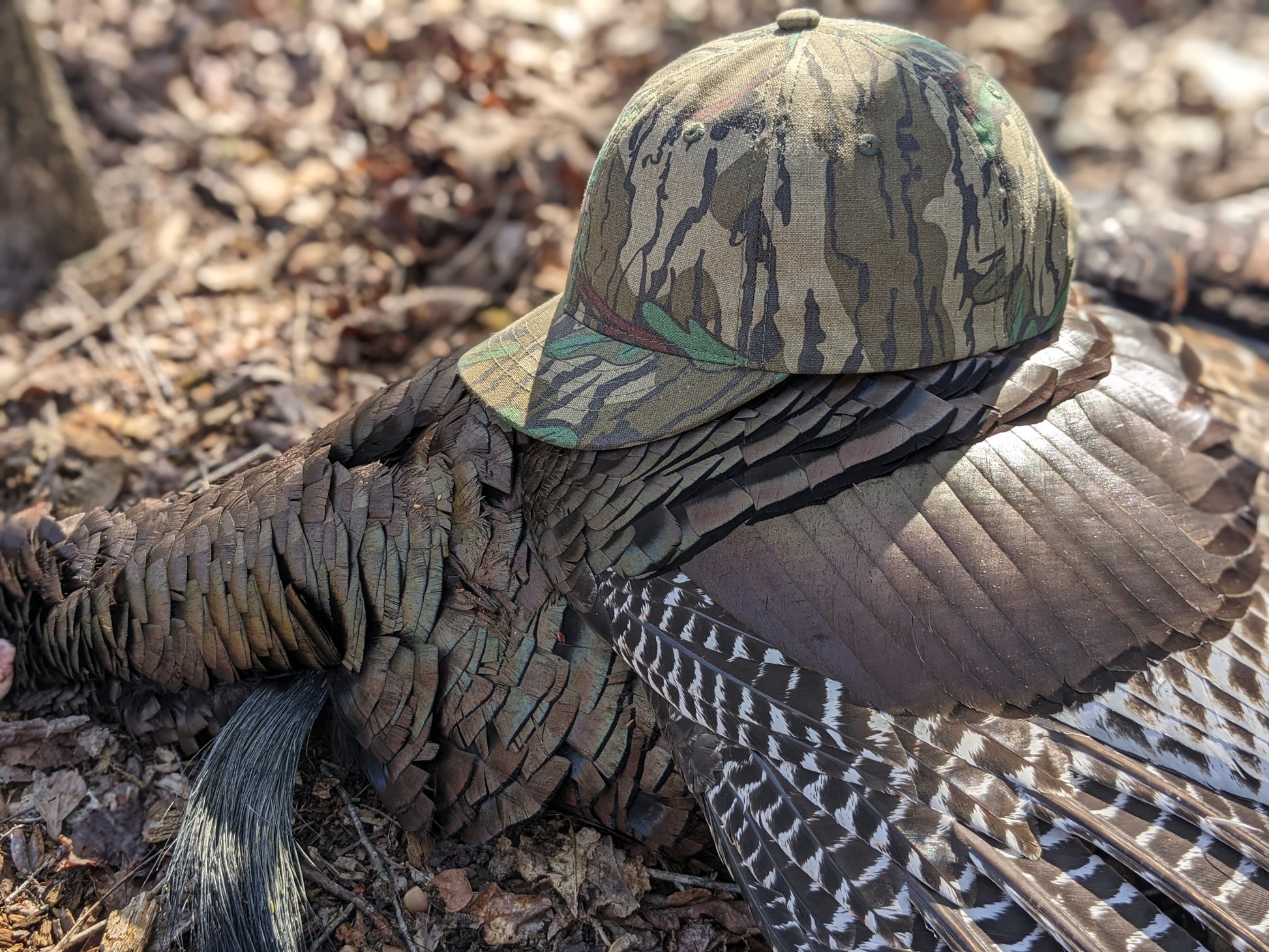 Short bill bowhunter hat archery hunting