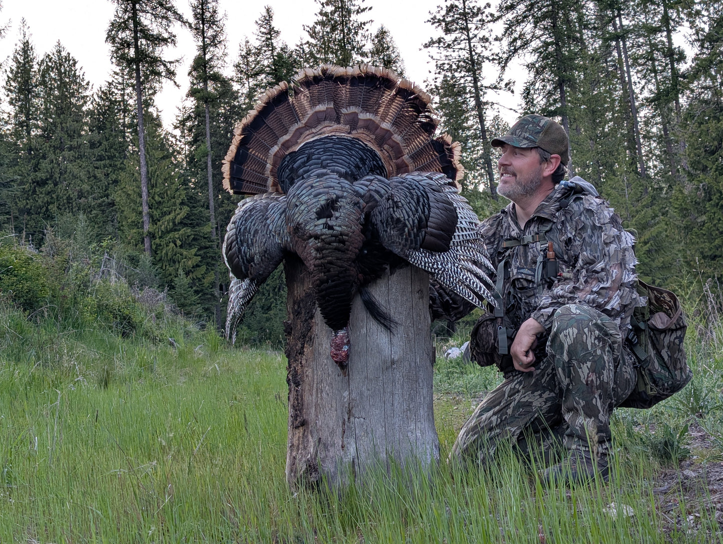 Mossy Oak Greenleaf Meshback Short Bill Hunting Hat